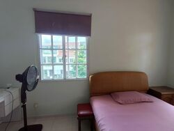 Rochdale Road (D19), Terrace #549137891